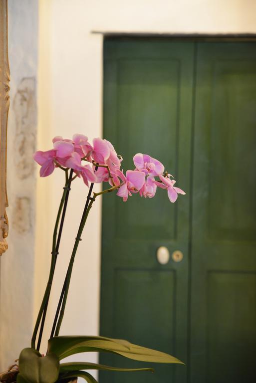 La Terrazza Di Vico Olivi B&B Ventimiglia Exterior foto